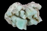 Amazonite Crystal Cluster - Colorado #129659-1